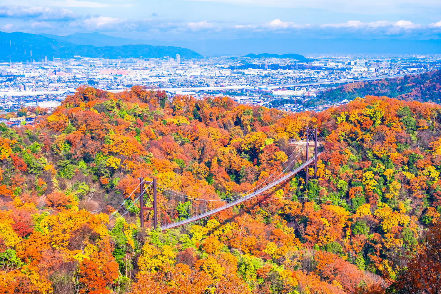 22年版 關西大阪賞楓紅葉人氣與私房景點10選 Matcha 日本線上旅遊觀光雜誌