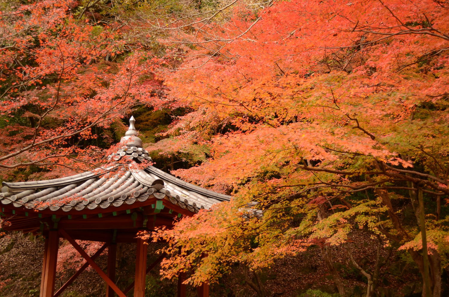 21年版 秋の旅行はここ 広島で行くべき紅葉スポット5選 Matcha 訪日外国人観光客向けwebマガジン