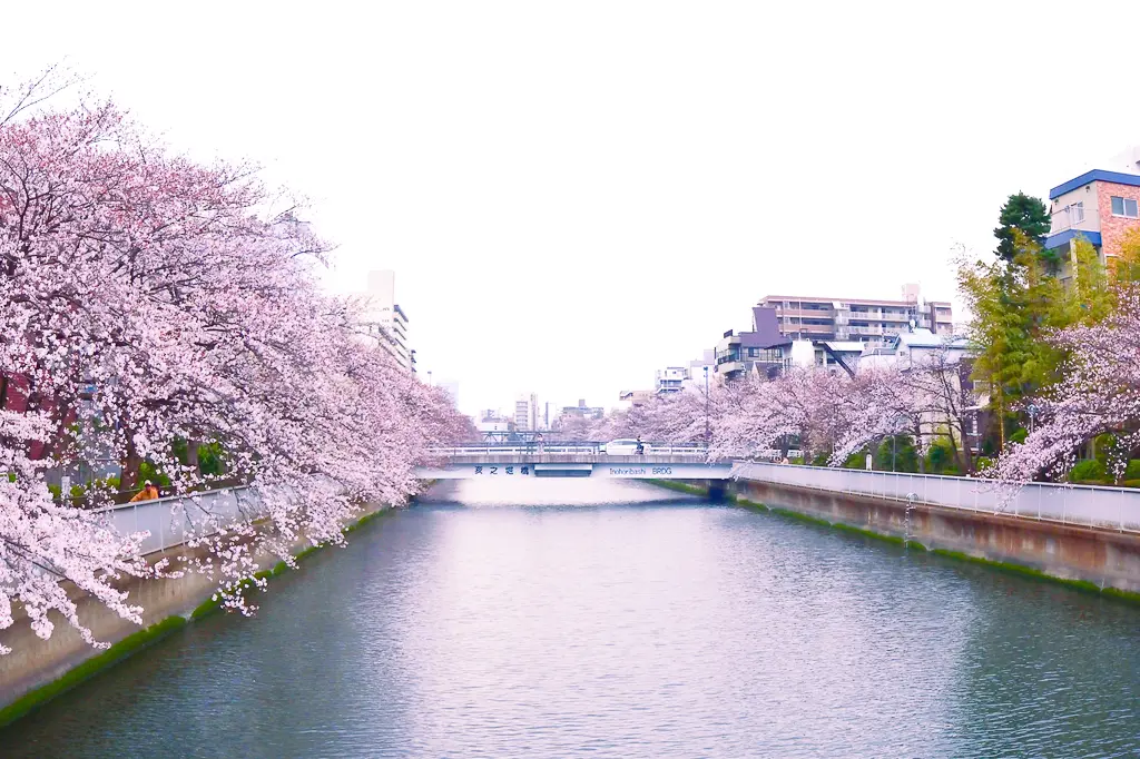 門前仲町 石原聰美也來過 從必去10個景點來認識清澄白河之外的下町深川魅力 Matcha 日本線上旅遊觀光雜誌